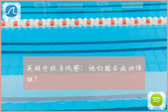 英超升班马观察:他们能否成功保级?