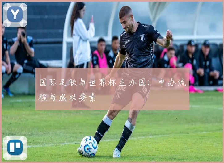 国际足联与世界杯主办国:申办流程与成功要素