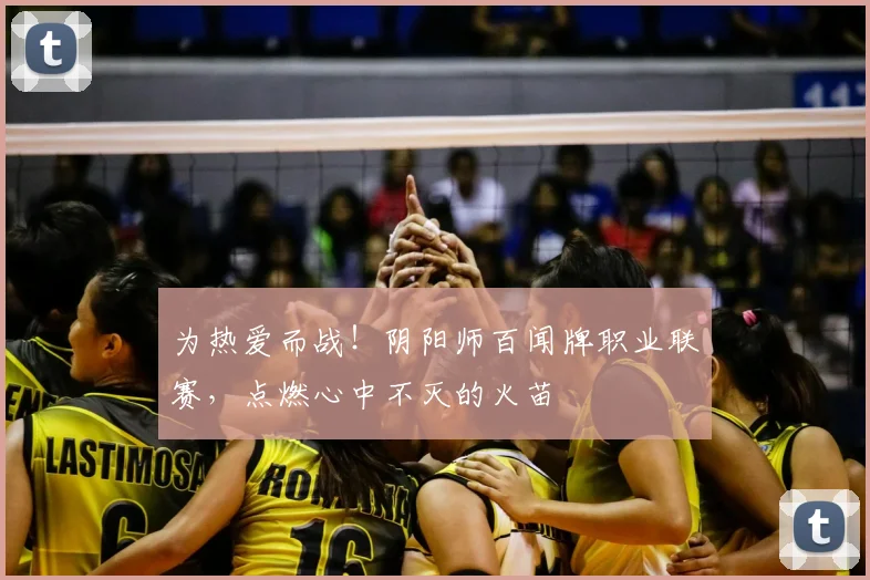 为热爱而战!阴阳师百闻牌职业联赛,点燃心中不灭的火苗