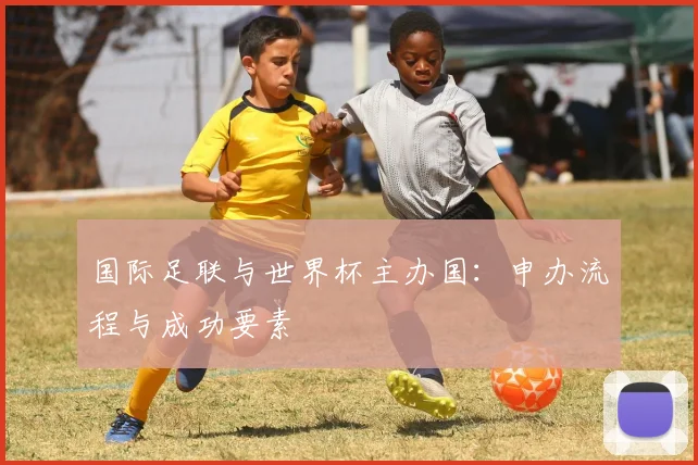 国际足联与世界杯主办国:申办流程与成功要素
